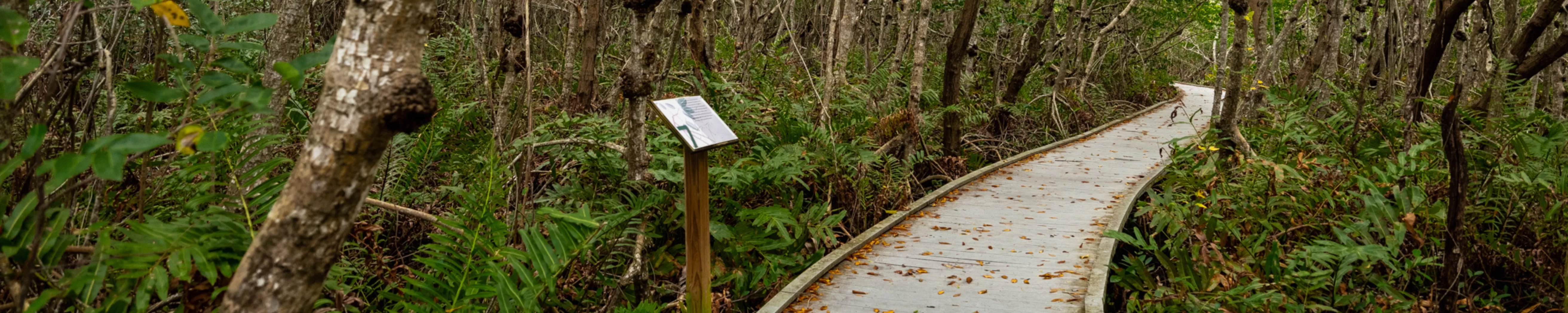 Four Mile Cove Ecological Preserve | Visit Fort Myers | SW Florida